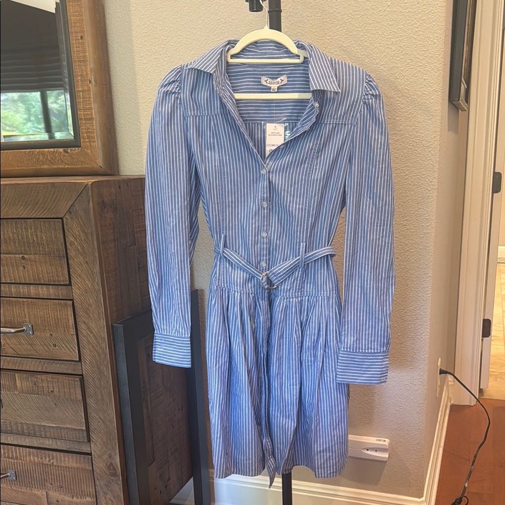 Blue Striped Button-Up Dress